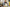 Promotion banner